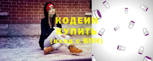 ГАЛЛЮЦИНОГЕННЫЕ ГРИБЫ Кодинск