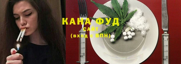 дмт Козельск