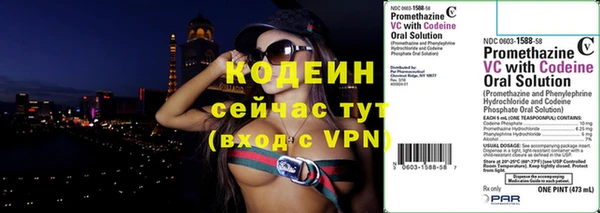 ГАЛЛЮЦИНОГЕННЫЕ ГРИБЫ Кодинск