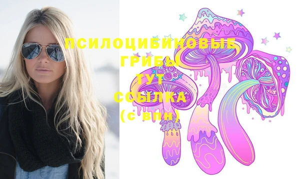 ГАЛЛЮЦИНОГЕННЫЕ ГРИБЫ Кодинск