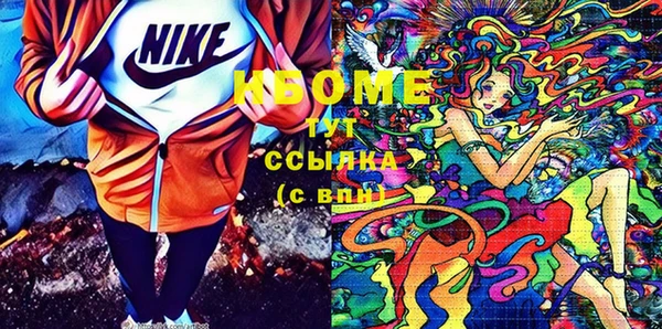 дмт Козельск