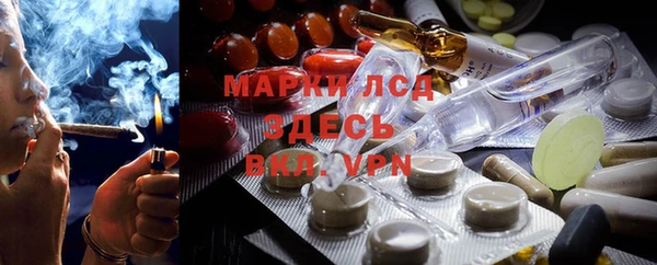 круглые Корсаков
