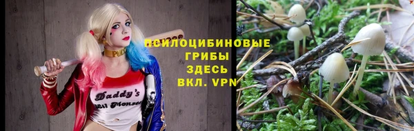 круглые Корсаков