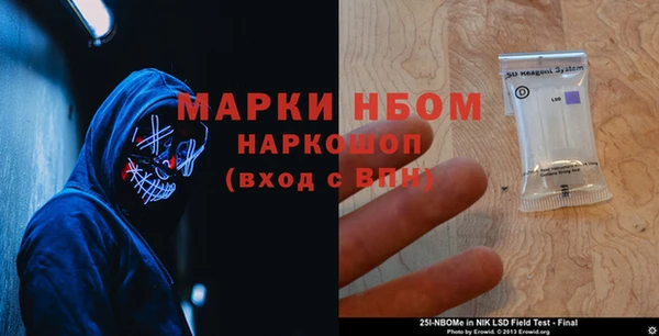 дмт Козельск