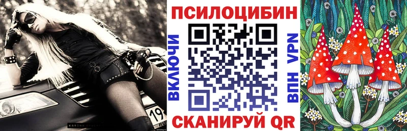Купить закладки  Ясногорск  Галлюциногенные грибы Cubensis 